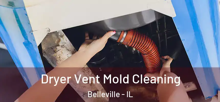  Dryer Vent Mold Cleaning Belleville - IL