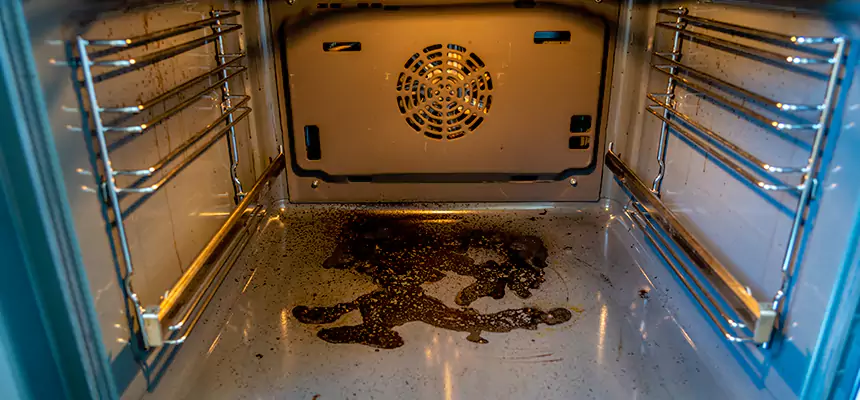 Our Dryer Vent Mold Cleaning Services in Belleville, IL