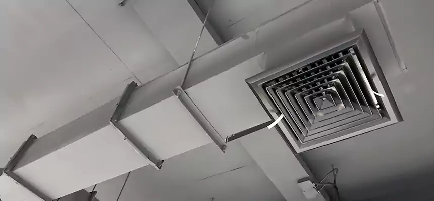 Our Rodent Droppings In Vents Services in Belleville, IL