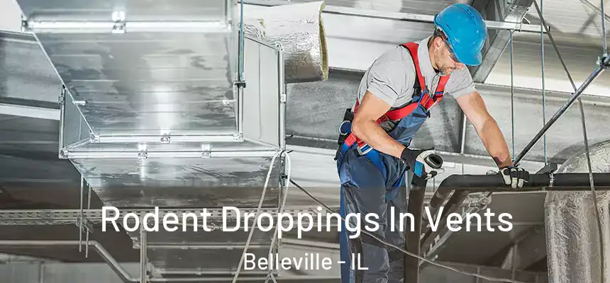  Rodent Droppings In Vents Belleville - IL