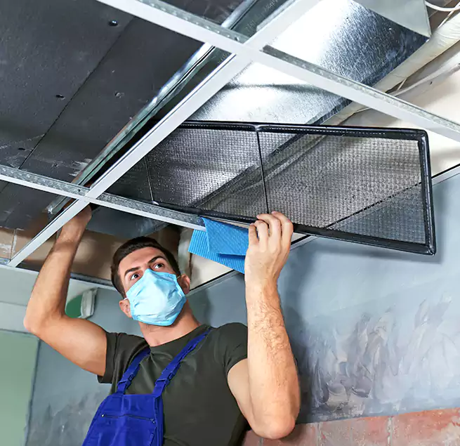 Why Homeowners Businesses Trust Us in Belleville, IL